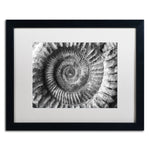Trademark Fine Art ''Amonita 2'' by Moises Levy 16" x 20" White Matted Black Frame (ALI1051-B1620MF)