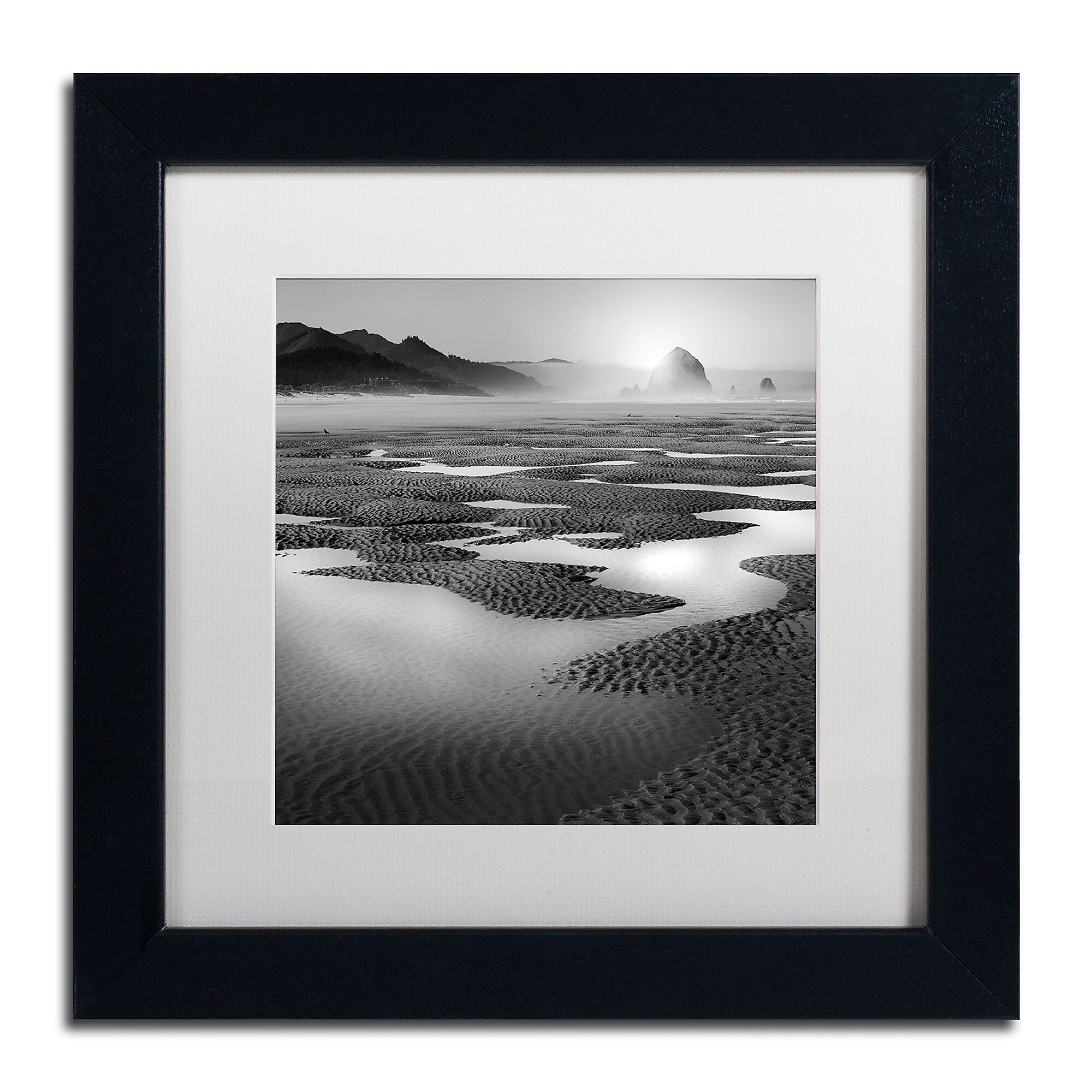 Trademark Fine Art ''Path'' by Moises Levy 11" x 11" White Matted Black Frame (ALI1059-B1111MF)