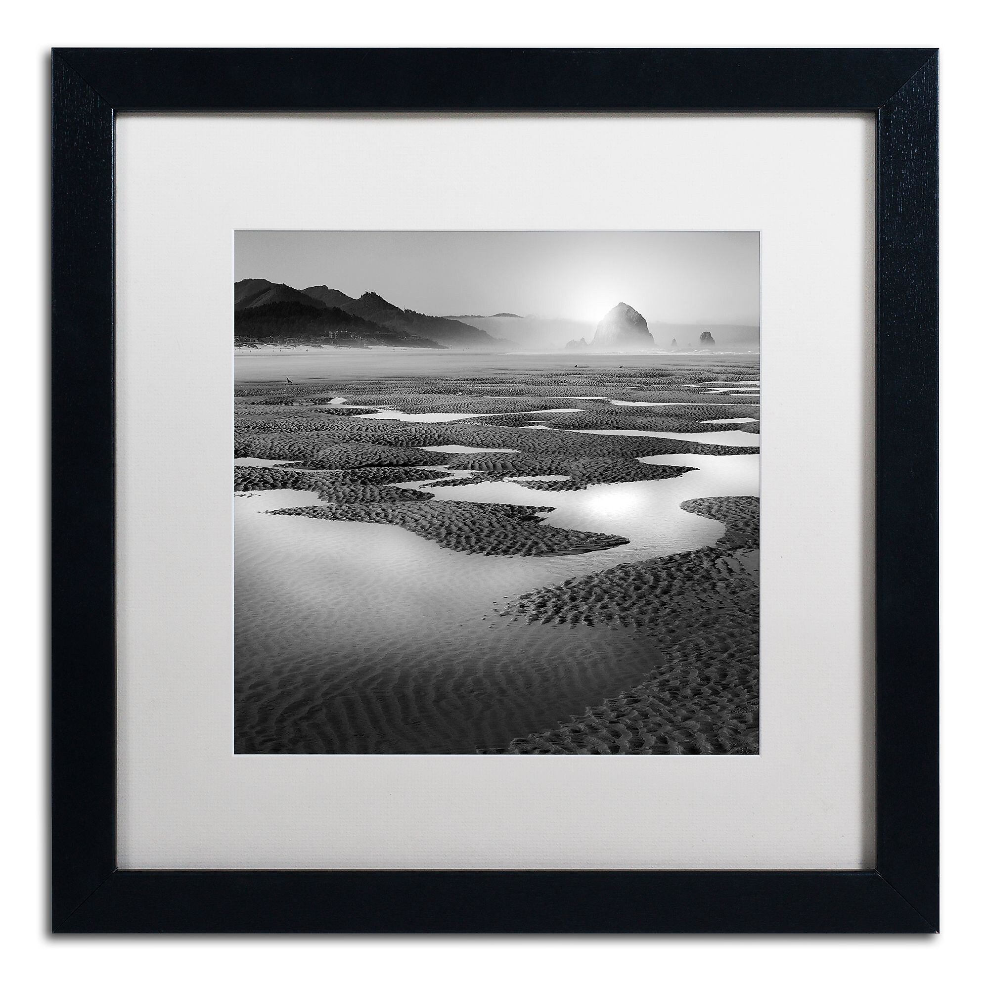Trademark Fine Art ''Path'' by Moises Levy 16" x 16" White Matted Black Frame (ALI1059-B1616MF)
