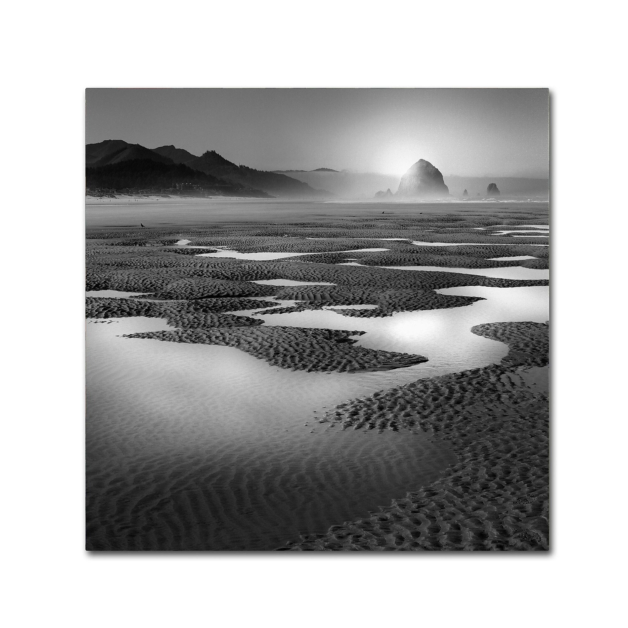 Trademark Fine Art ''Path'' by Moises Levy 18" x 18" Canvas Art (ALI1059-C1818GG)