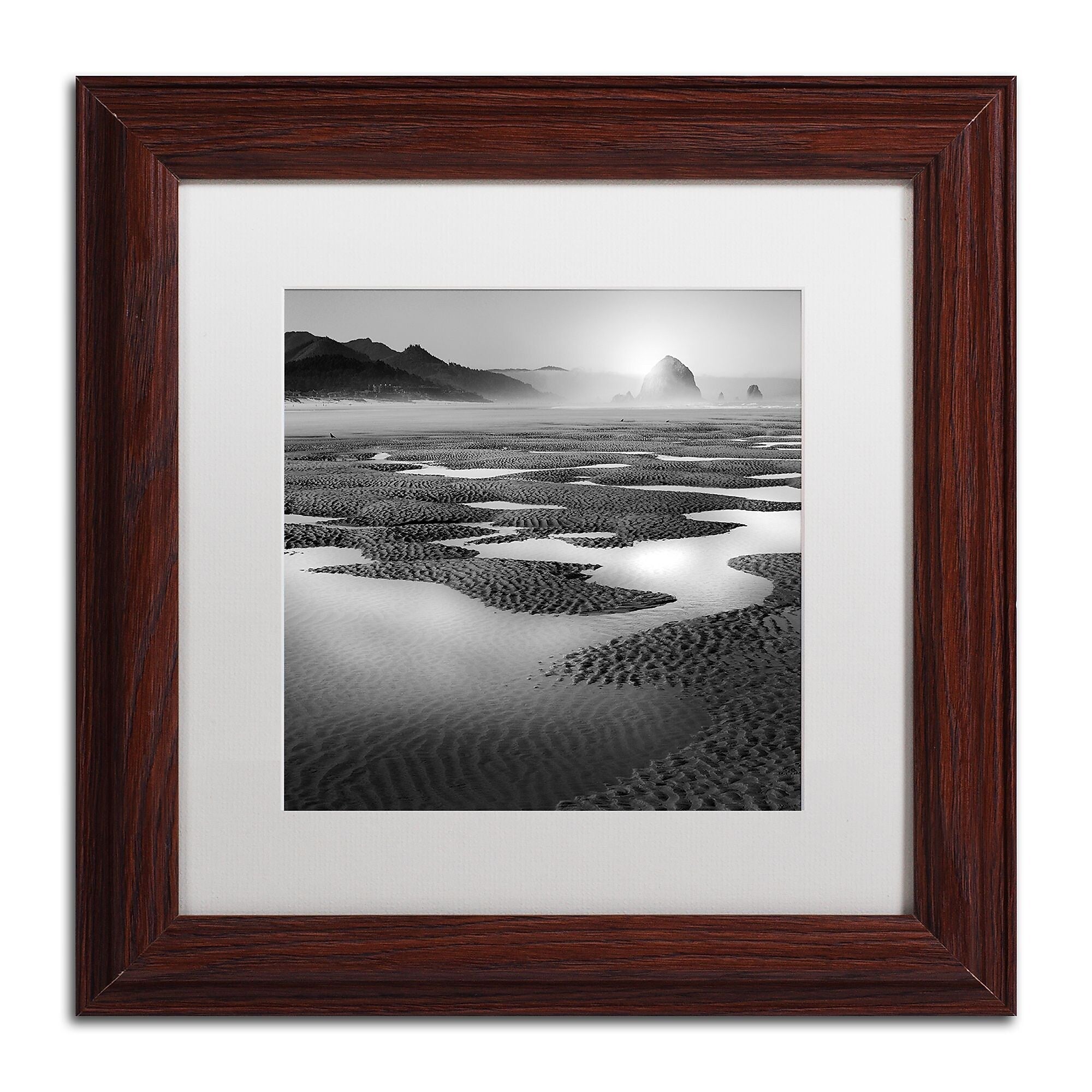 Trademark Fine Art ''Path'' by Moises Levy 11" x 11" White Matted Wood Frame (ALI1059-W1111MF)