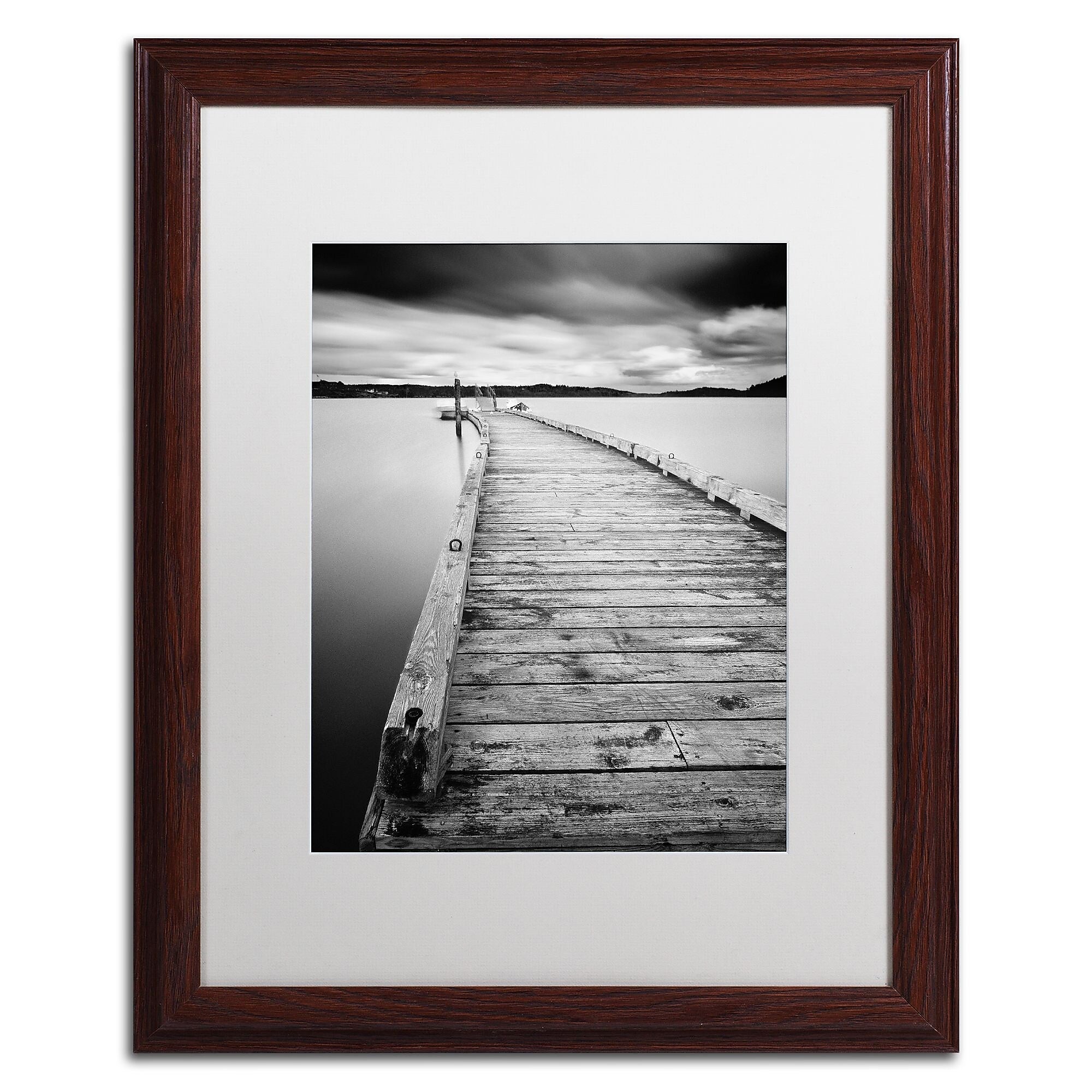 Trademark Fine Art ''Motchia'' by Moises Levy 16" x 20" White Matted Wood Frame (ALI1062-W1620MF)