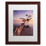 Trademark Fine Art ''Water Tree IV'' by Moises Levy 16" x 20" White Matted Wood Frame (ALI1066-W1620MF)