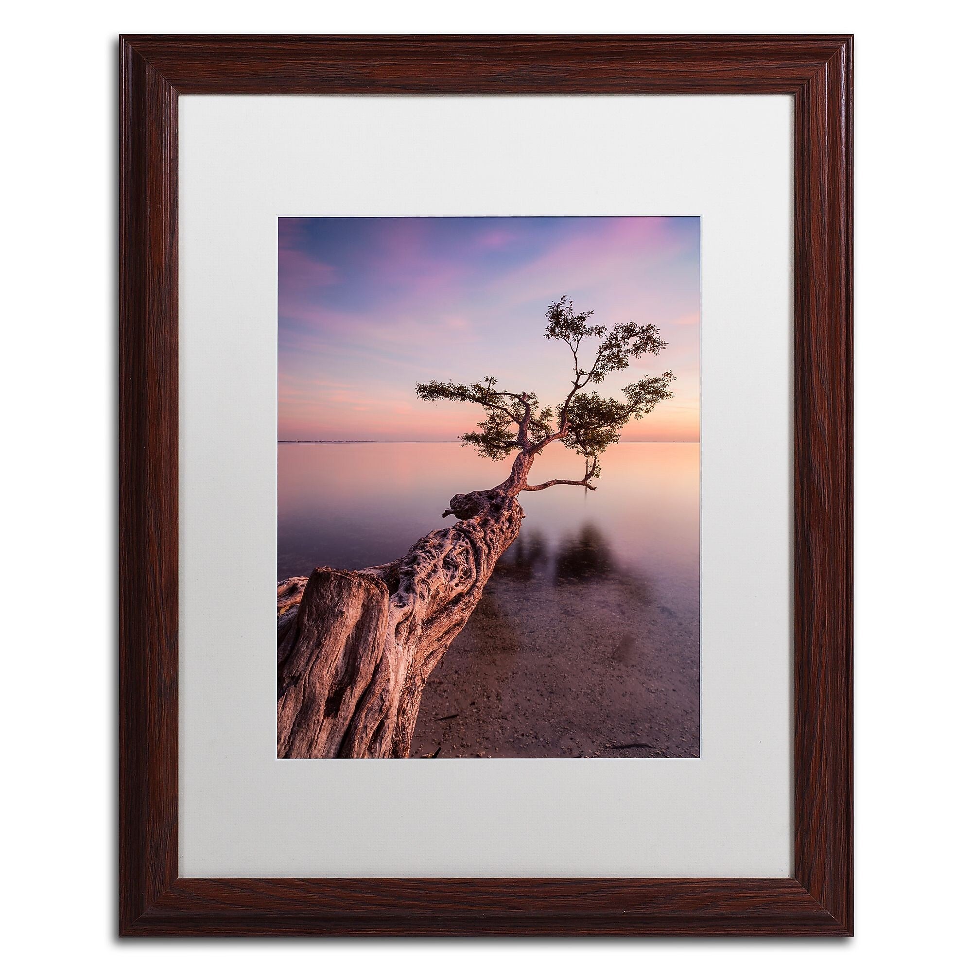 Trademark Fine Art ''Water Tree IV'' by Moises Levy 16" x 20" White Matted Wood Frame (ALI1066-W1620MF)