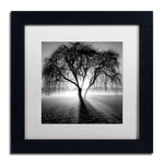 Trademark Fine Art ''Lightning Tree I'' by Moises Levy 11" x 11" White Matted Black Frame (ALI1069-B1111MF)