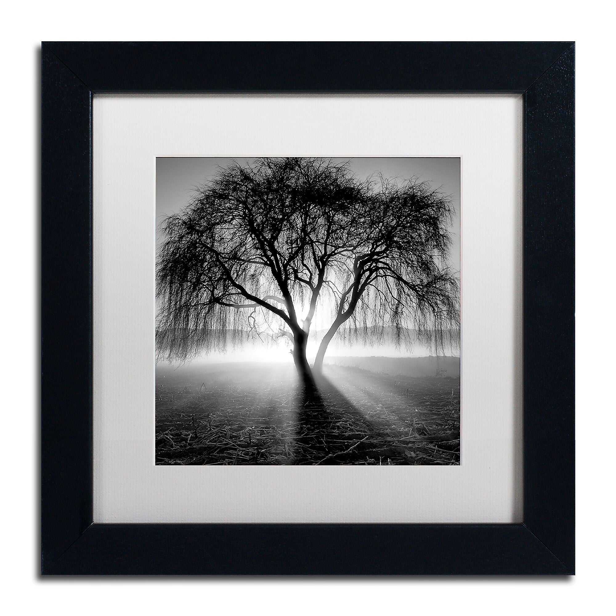 Trademark Fine Art ''Lightning Tree I'' by Moises Levy 11" x 11" White Matted Black Frame (ALI1069-B1111MF)