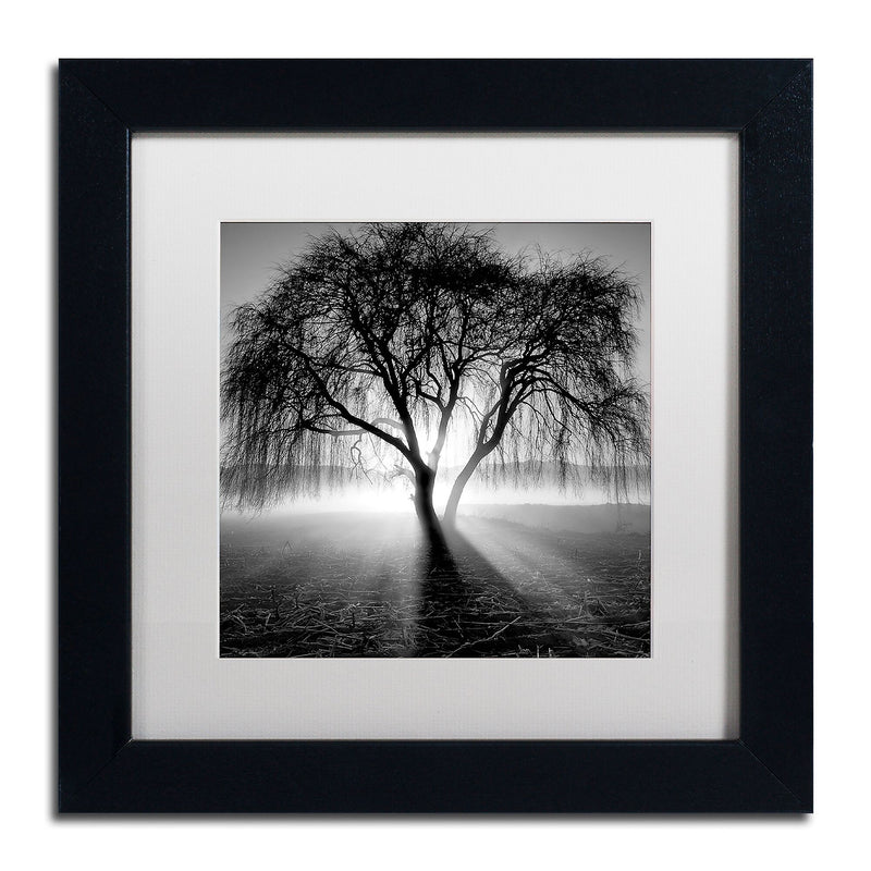 Trademark Fine Art ''Lightning Tree I'' by Moises Levy 11" x 11" White Matted Black Frame (ALI1069-B1111MF)