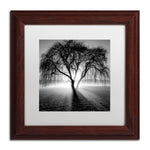 Trademark Fine Art ''Lightning Tree I'' by Moises Levy 11" x 11" White Matted Wood Frame (ALI1069-W1111MF)