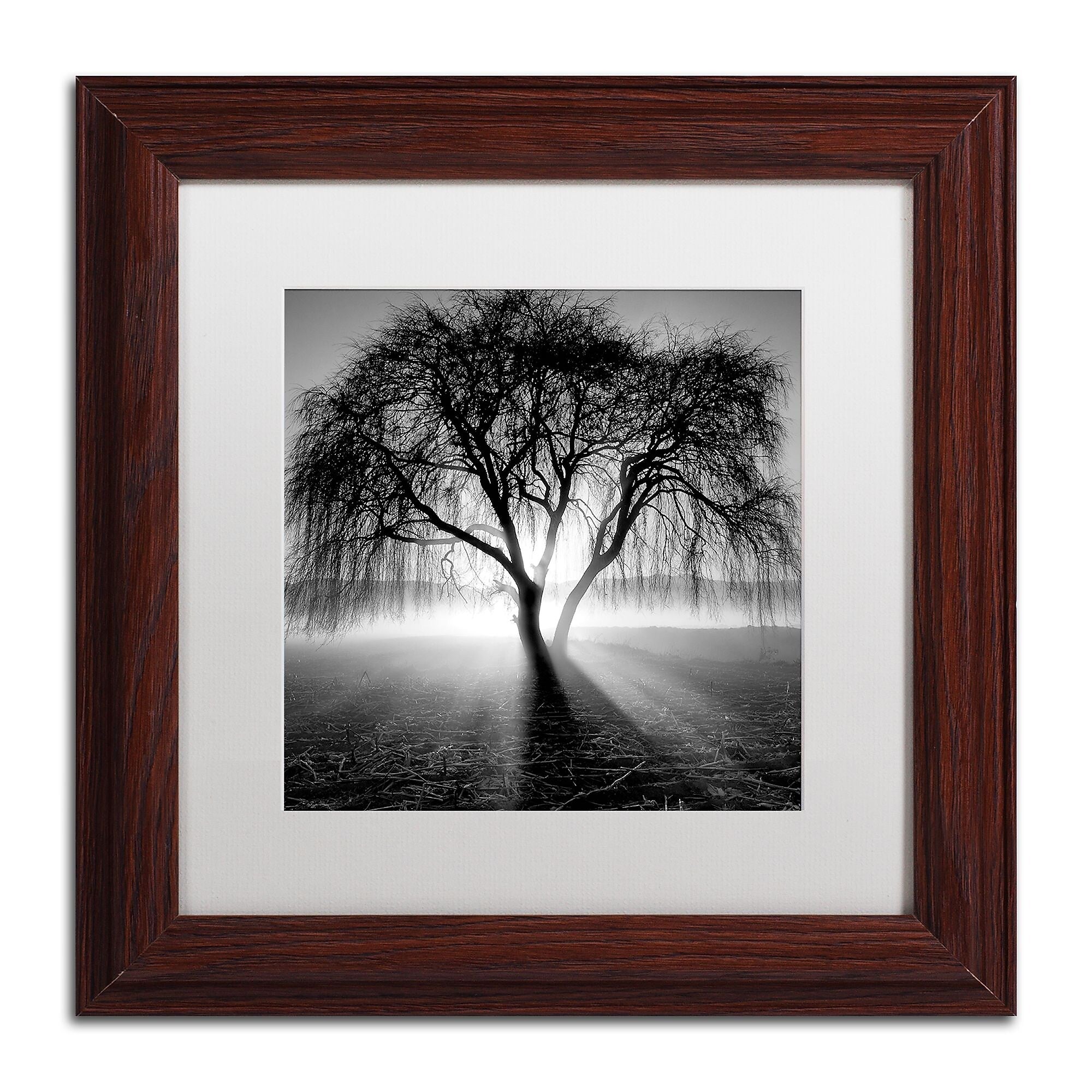 Trademark Fine Art ''Lightning Tree I'' by Moises Levy 11" x 11" White Matted Wood Frame (ALI1069-W1111MF)