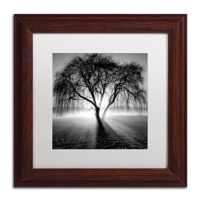 Trademark Fine Art ''Lightning Tree I'' by Moises Levy 11" x 11" White Matted Wood Frame (ALI1069-W1111MF)