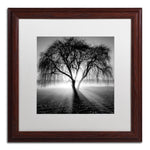 Trademark Fine Art ''Lightning Tree I'' by Moises Levy 16" x 16" White Matted Wood Frame (ALI1069-W1616MF)