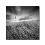 Trademark Fine Art ''Yaquina Lighthouse III'' by Moises Levy 18" x 18" Canvas Art (ALI1070-C1818GG)
