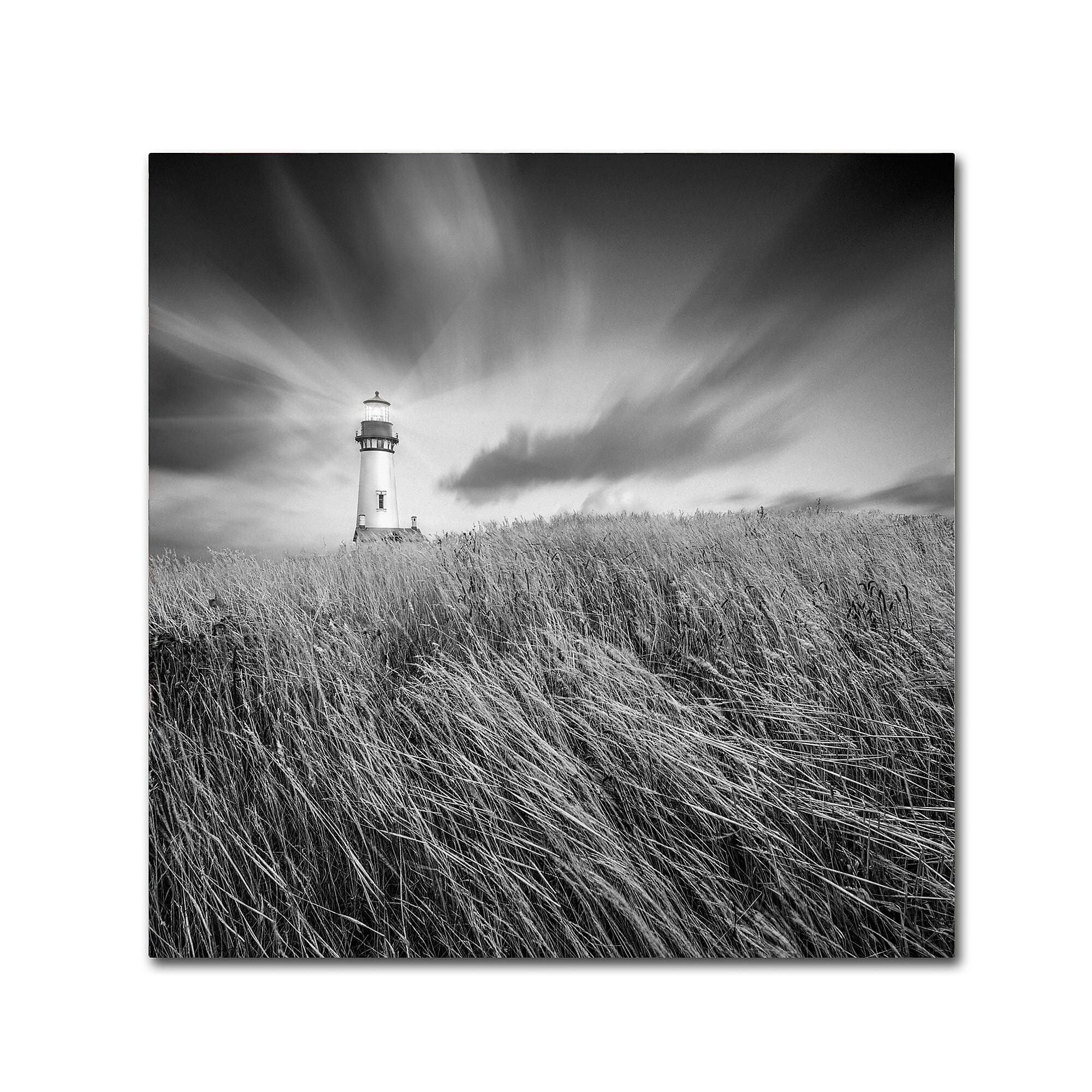 Trademark Fine Art ''Yaquina Lighthouse III'' by Moises Levy 18" x 18" Canvas Art (ALI1070-C1818GG)