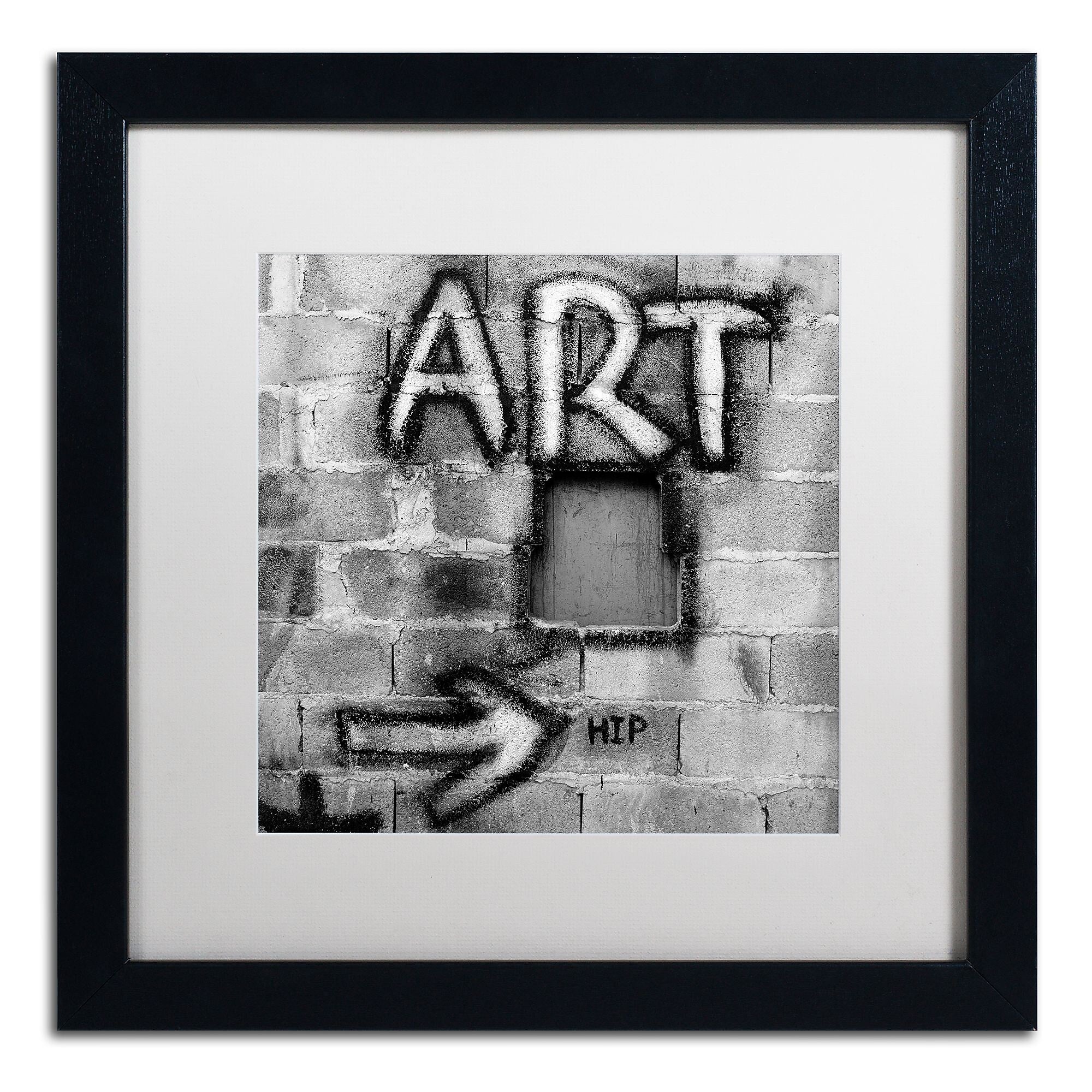 Trademark Fine Art ''Art'' by Moises Levy 16" x 16" White Matted Black Frame (ALI1072-B1616MF)