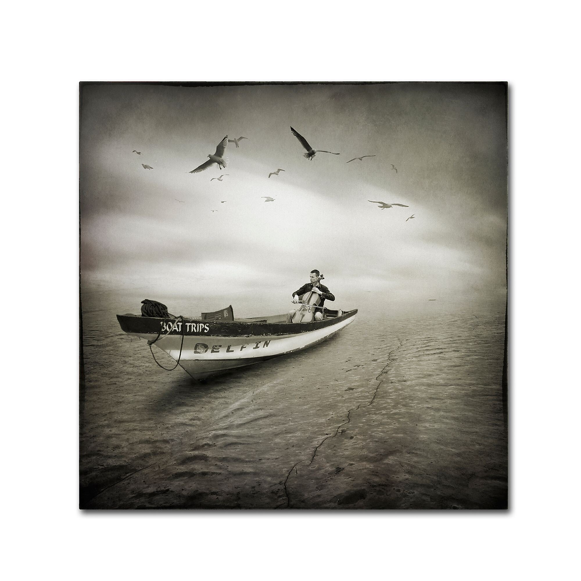 Trademark Fine Art ''Cello Sophia'' by Moises Levy 18" x 18" Canvas Art (ALI1073-C1818GG)