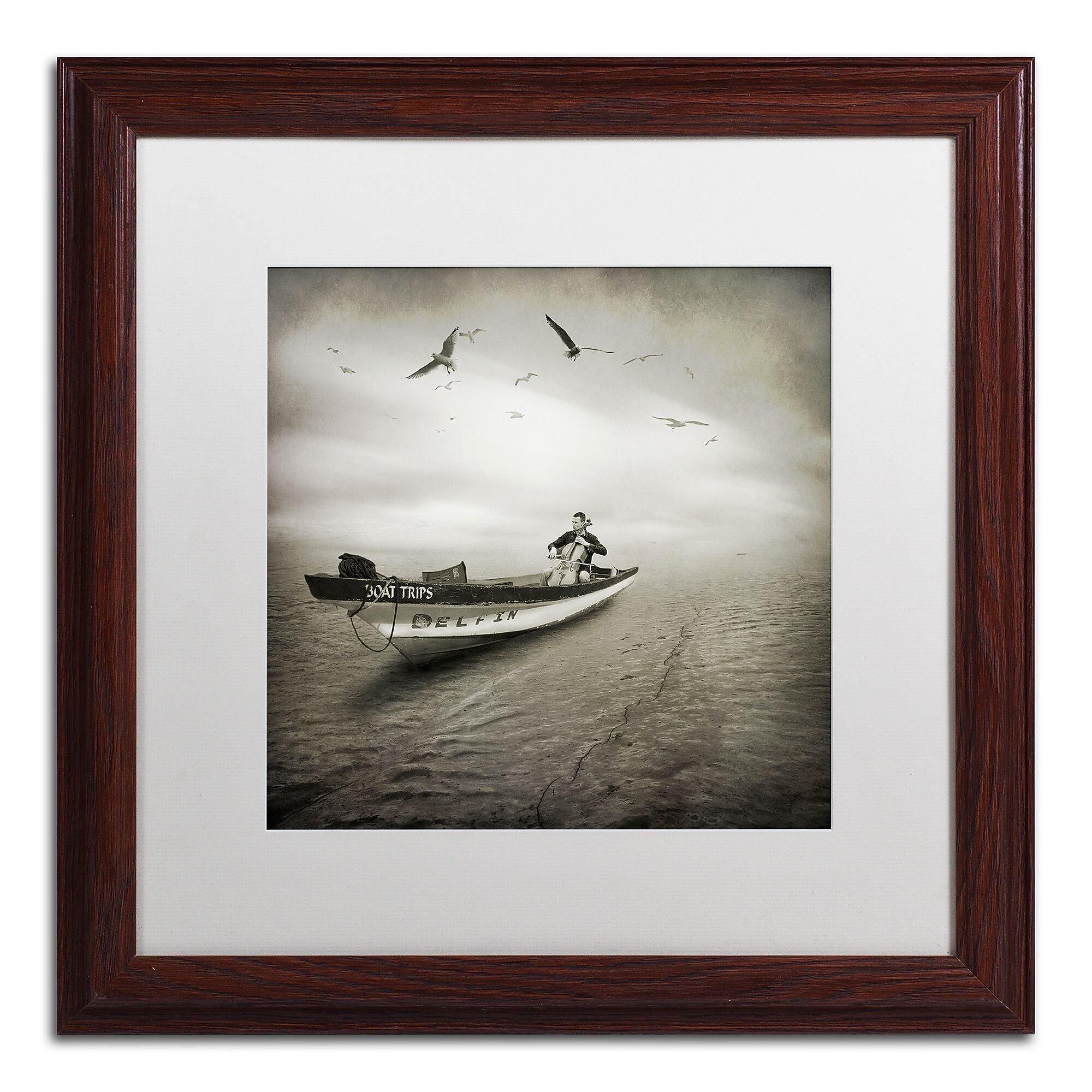 Trademark Fine Art ''Cello Sophia'' by Moises Levy 16" x 16" White Matted Wood Frame (ALI1073-W1616MF)