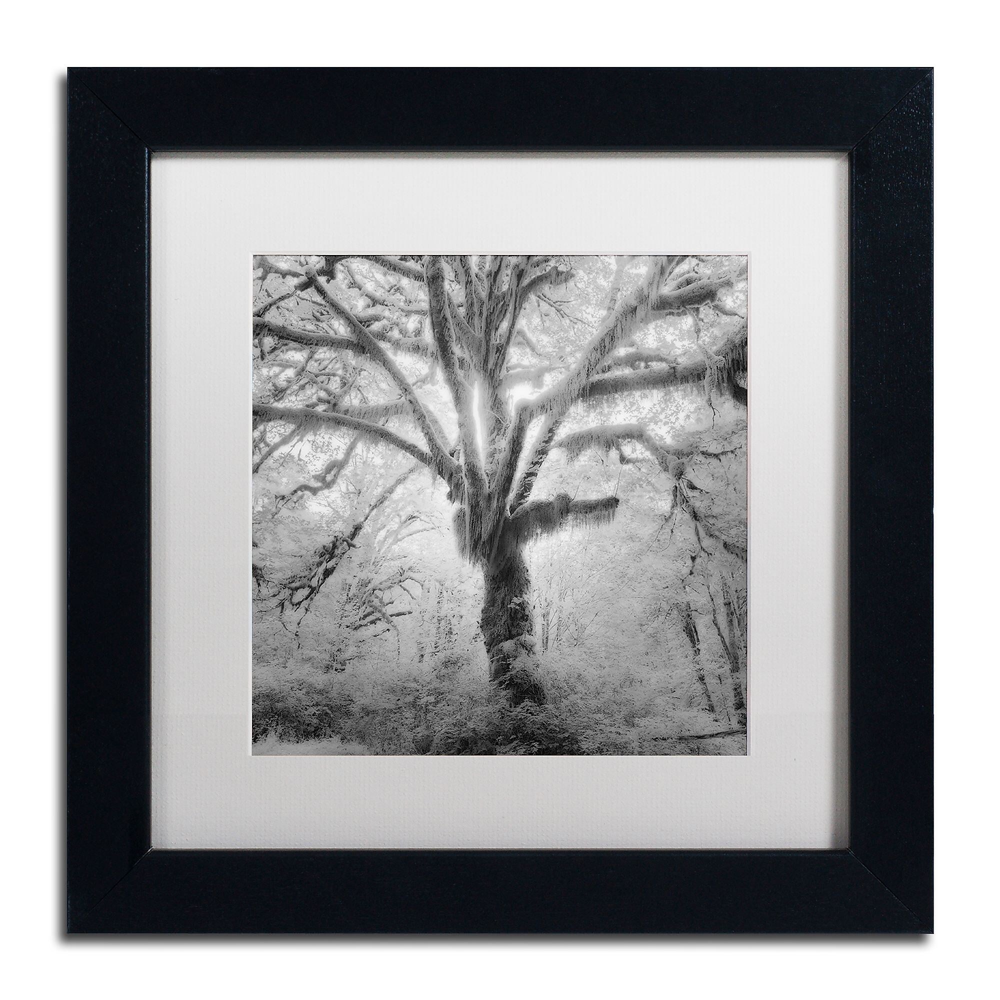 Trademark Fine Art ''Lightning Tree II'' by Moises Levy 11" x 11" White Matted Black Frame (ALI1080-B1111MF)