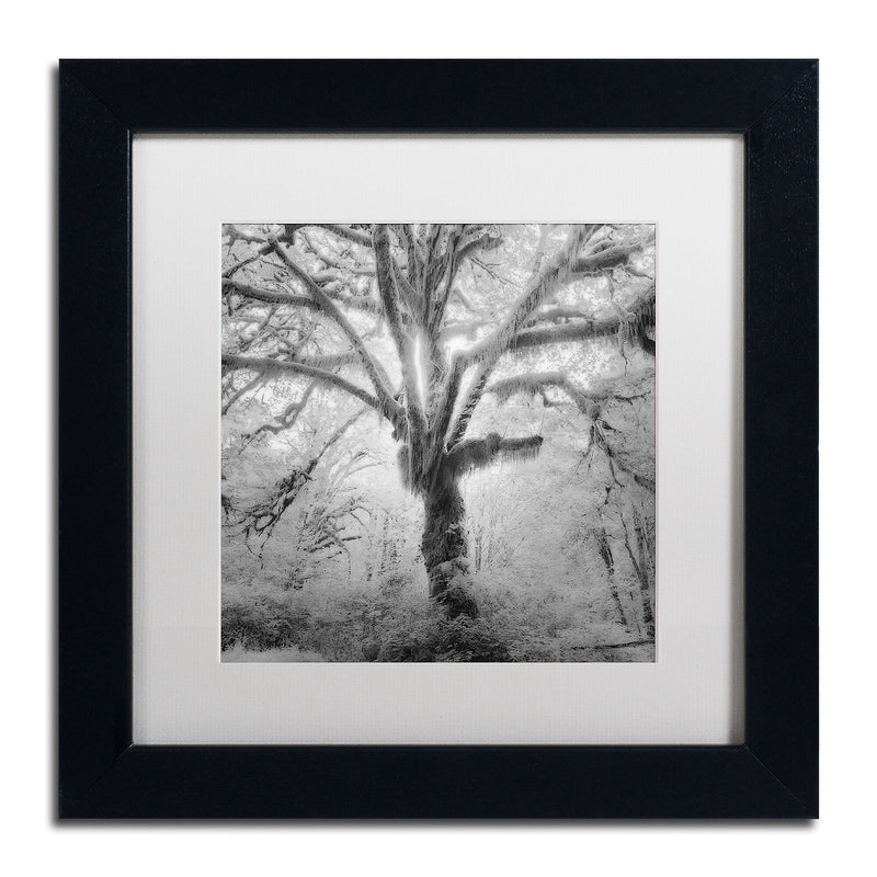 Trademark Fine Art ''Lightning Tree II'' by Moises Levy 11" x 11" White Matted Black Frame (ALI1080-B1111MF)