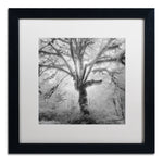 Trademark Fine Art ''Lightning Tree II'' by Moises Levy 16" x 16" White Matted Black Frame (ALI1080-B1616MF)
