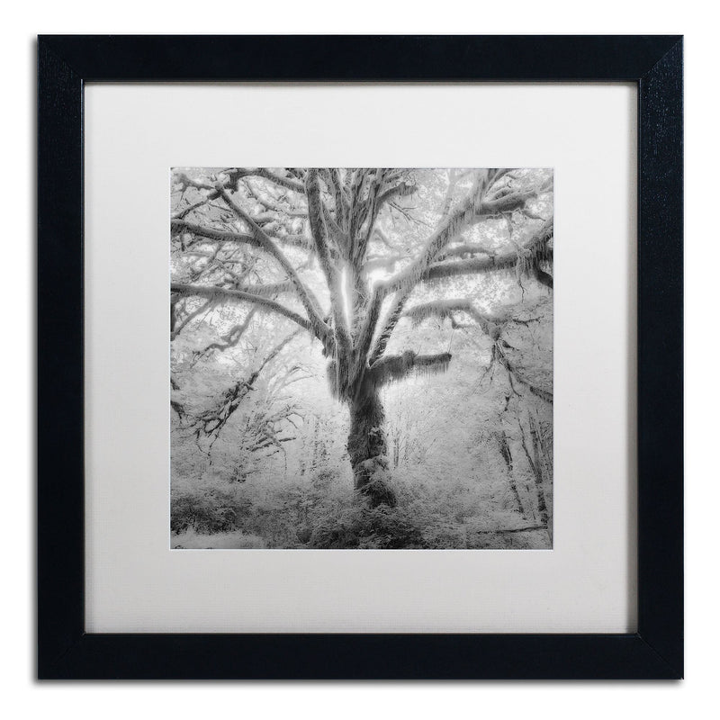 Trademark Fine Art ''Lightning Tree II'' by Moises Levy 16" x 16" White Matted Black Frame (ALI1080-B1616MF)