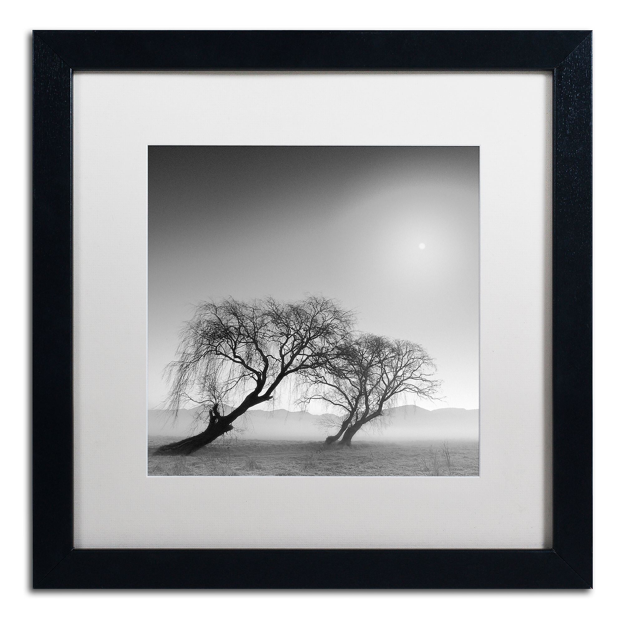 Trademark Fine Art ''Reverencia'' by Moises Levy 16" x 16" White Matted Black Frame (ALI1081-B1616MF)