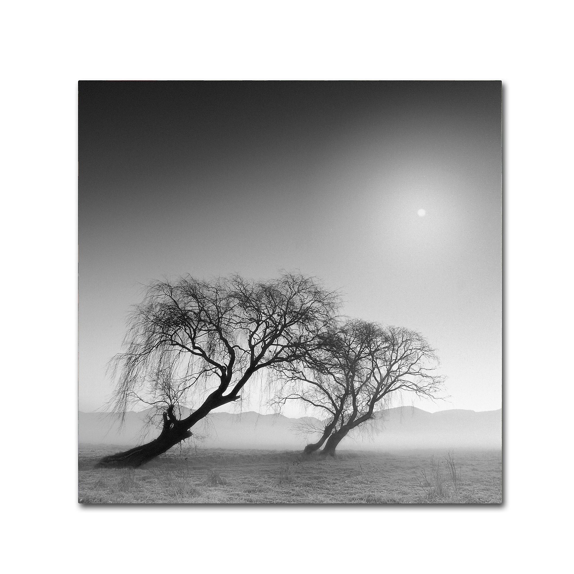 Trademark Fine Art ''Reverencia'' by Moises Levy 18" x 18" Canvas Art (ALI1081-C1818GG)