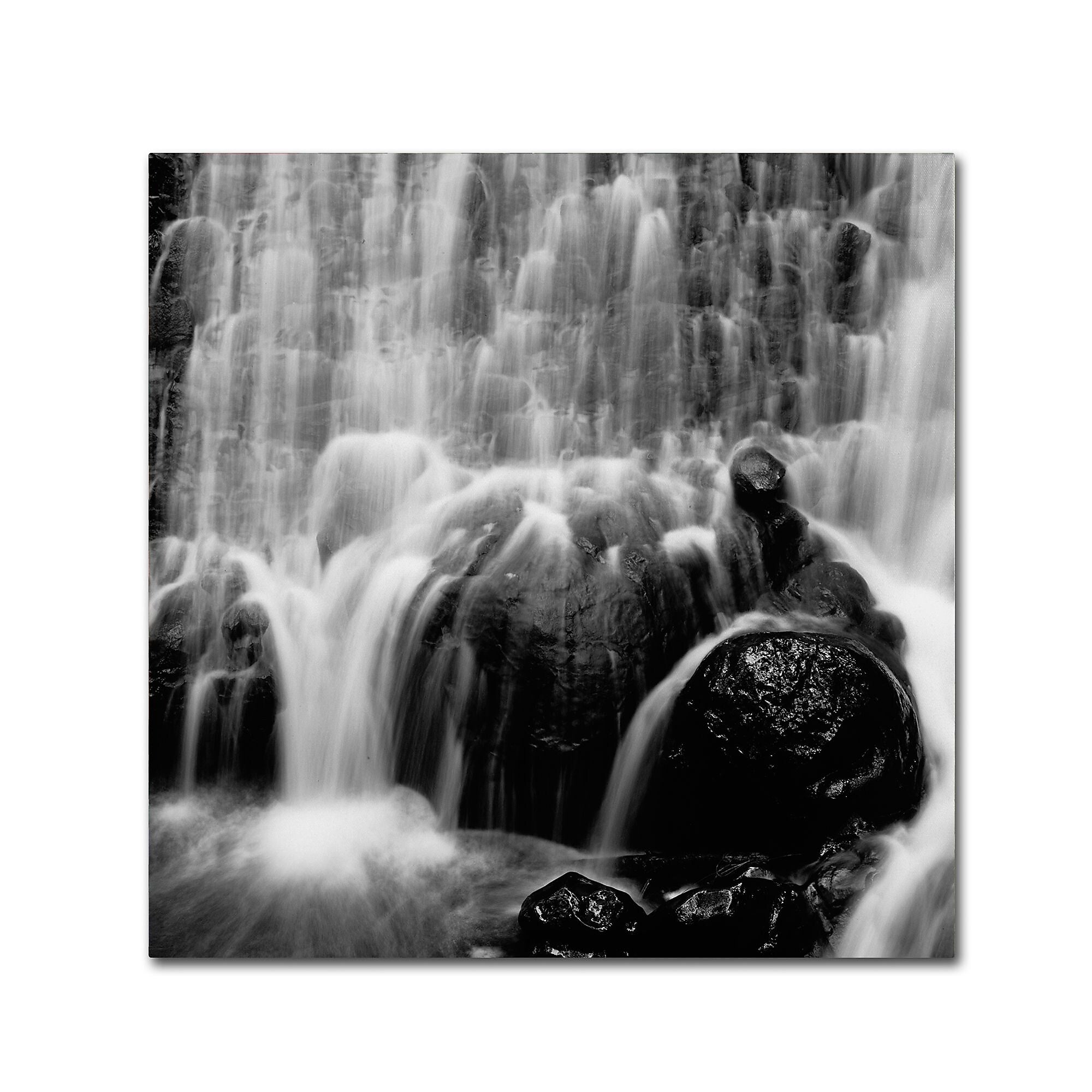 Trademark Fine Art ''Velo de Novia'' by Moises Levy 18" x 18" Canvas Art (ALI1084-C1818GG)