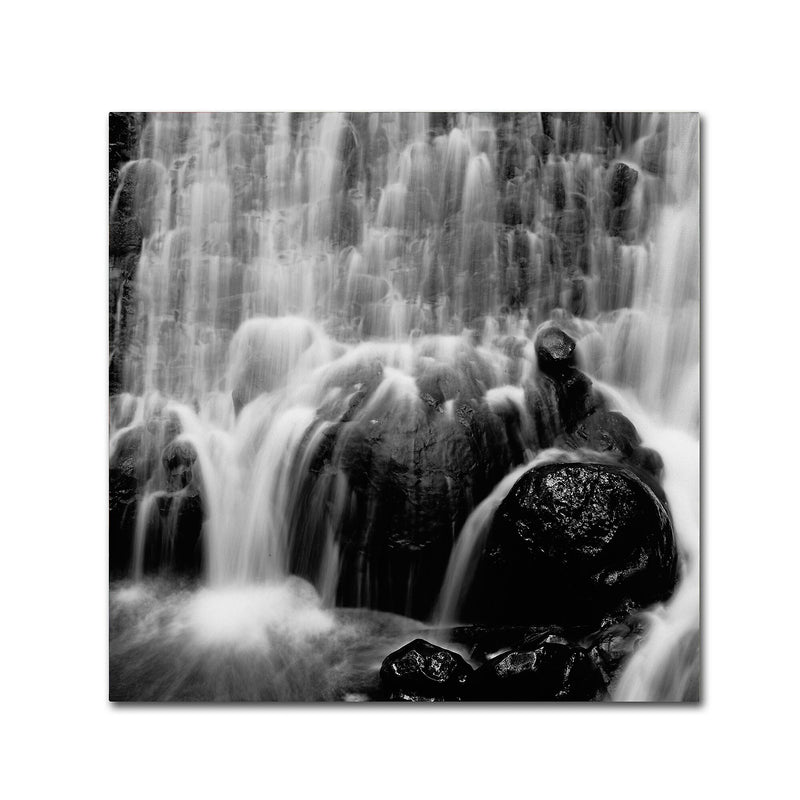 Trademark Fine Art ''Velo de Novia'' by Moises Levy 18" x 18" Canvas Art (ALI1084-C1818GG)