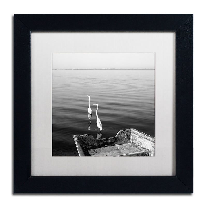 Trademark Fine Art ''2 Herons Leaving'' by Moises Levy 11" x 11" White Matted Black Frame (ALI1085-B1111MF)