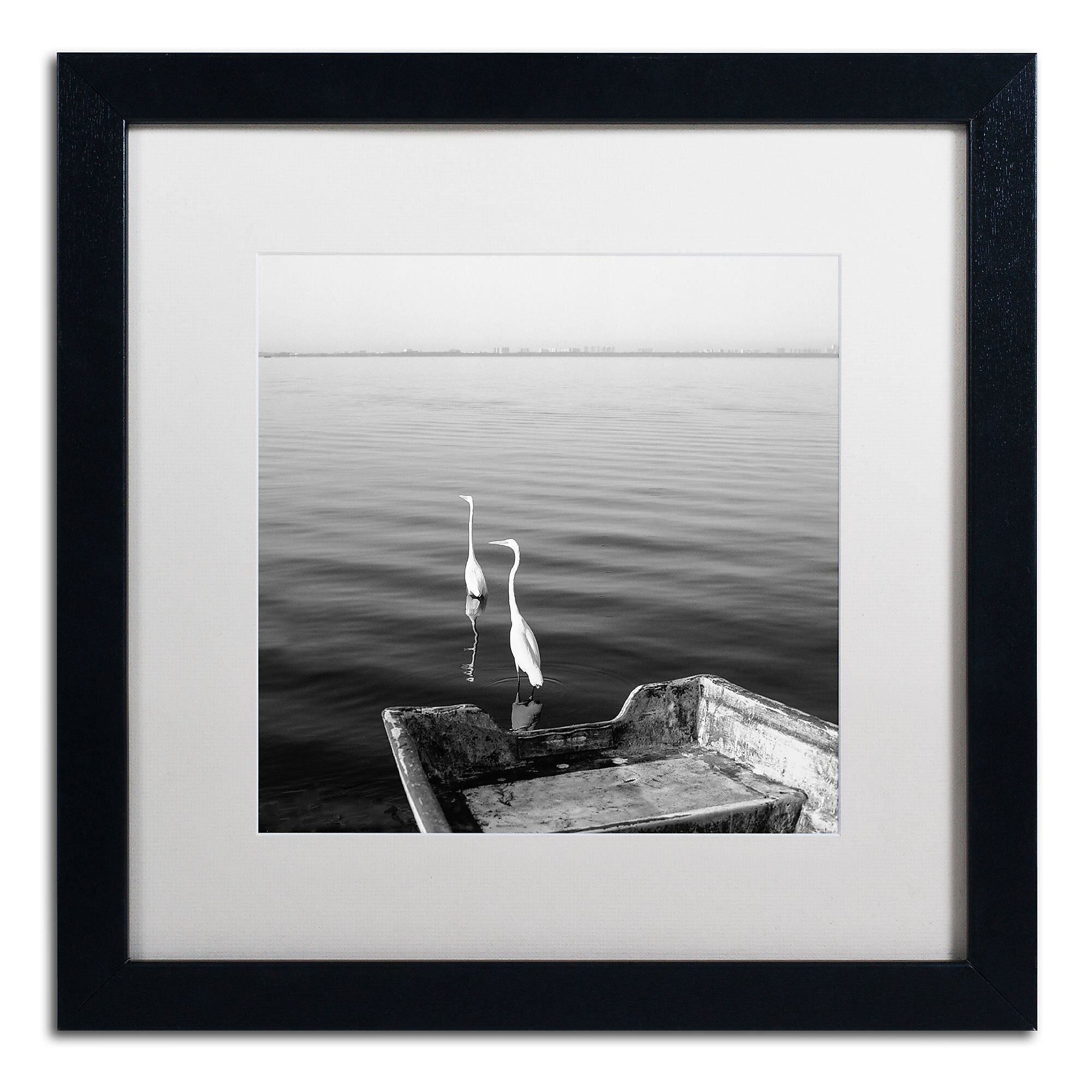 Trademark Fine Art ''2 Herons Leaving'' by Moises Levy 16" x 16" White Matted Black Frame (ALI1085-B1616MF)