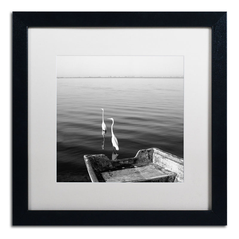 Trademark Fine Art ''2 Herons Leaving'' by Moises Levy 16" x 16" White Matted Black Frame (ALI1085-B1616MF)