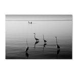 Trademark Fine Art ''4 Herons and Boat'' by Moises Levy 16" x 24" Canvas Art (ALI1088-C1624GG)