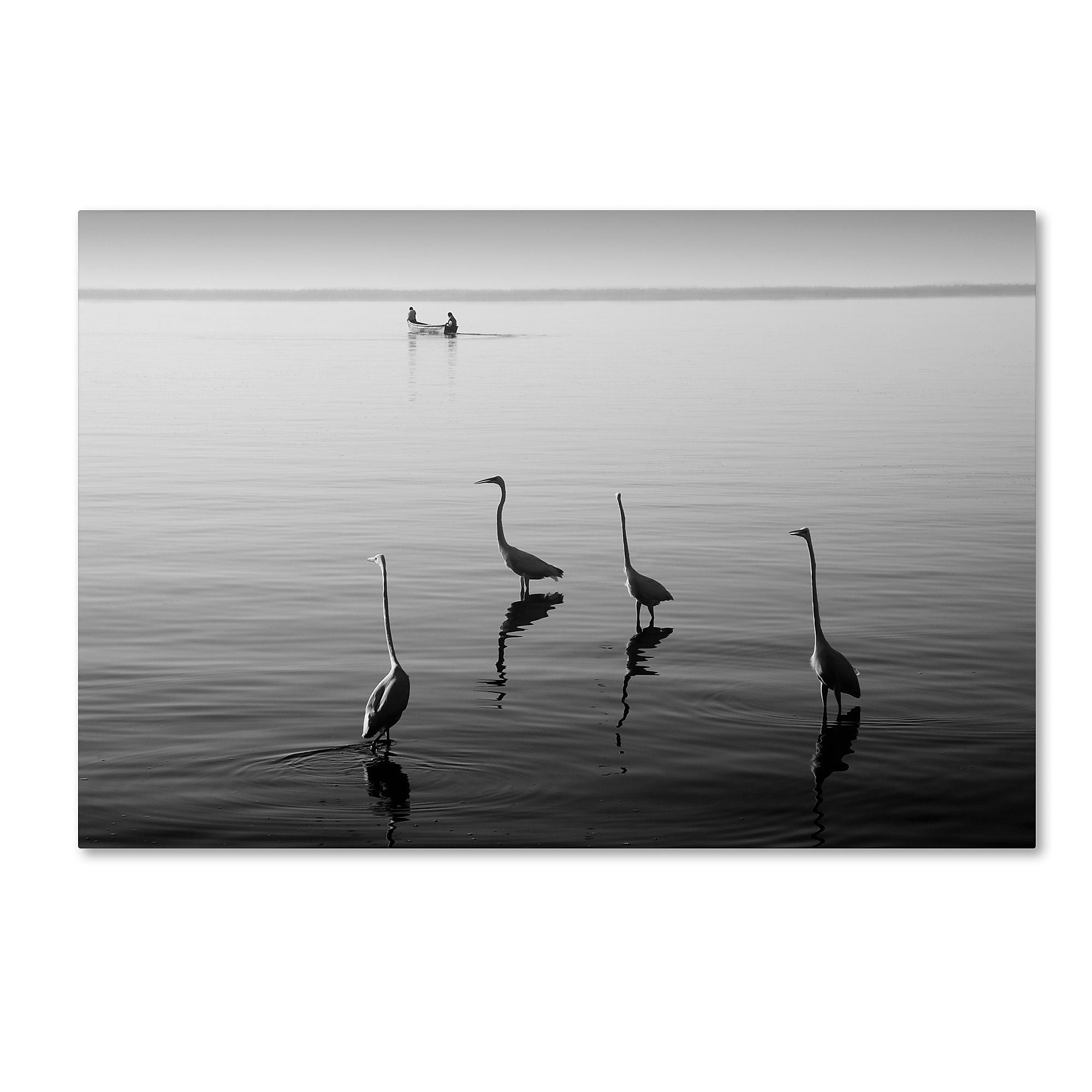 Trademark Fine Art ''4 Herons and Boat'' by Moises Levy 16" x 24" Canvas Art (ALI1088-C1624GG)
