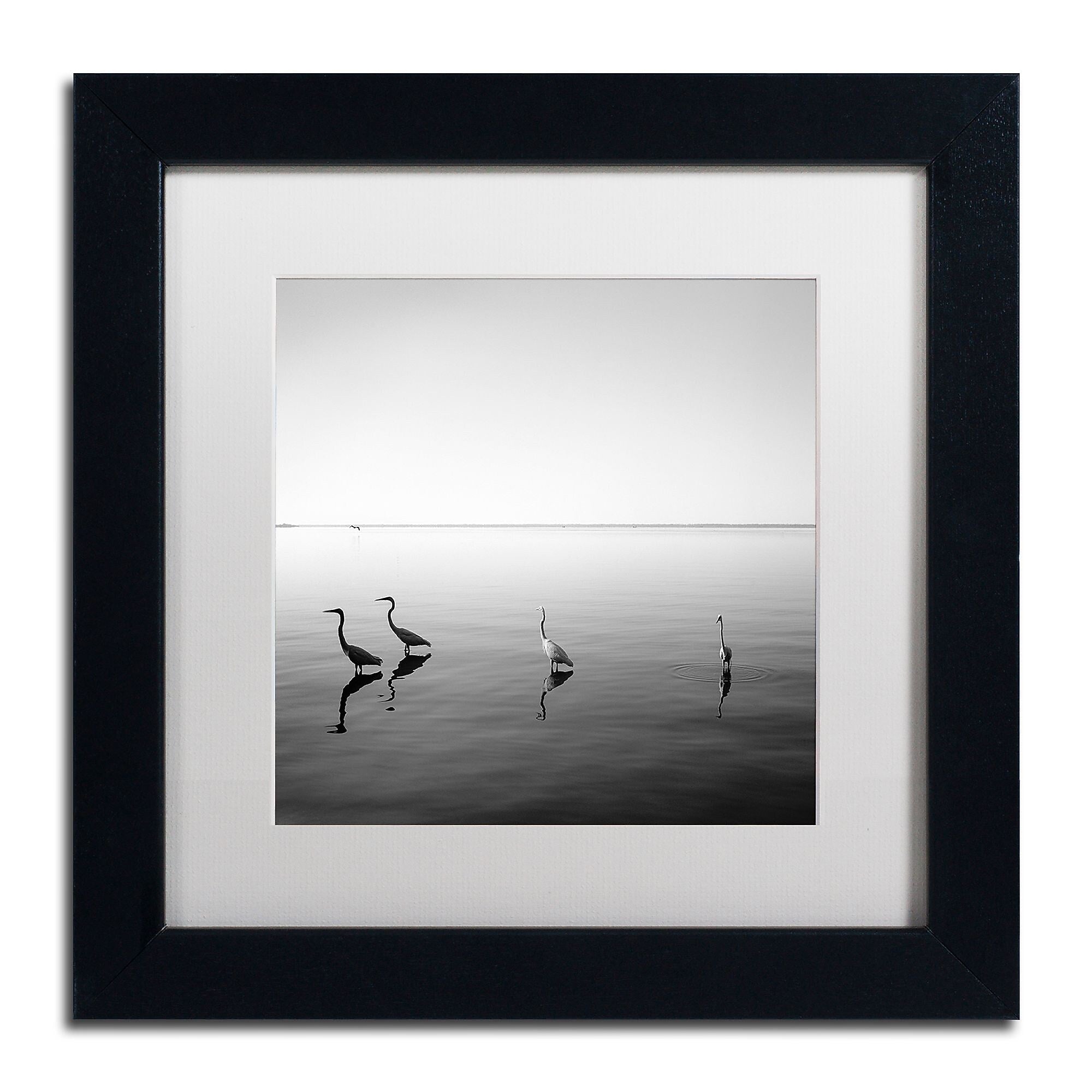 Trademark Fine Art ''4 Herons'' by Moises Levy 11" x 11" White Matted Black Frame (ALI1089-B1111MF)