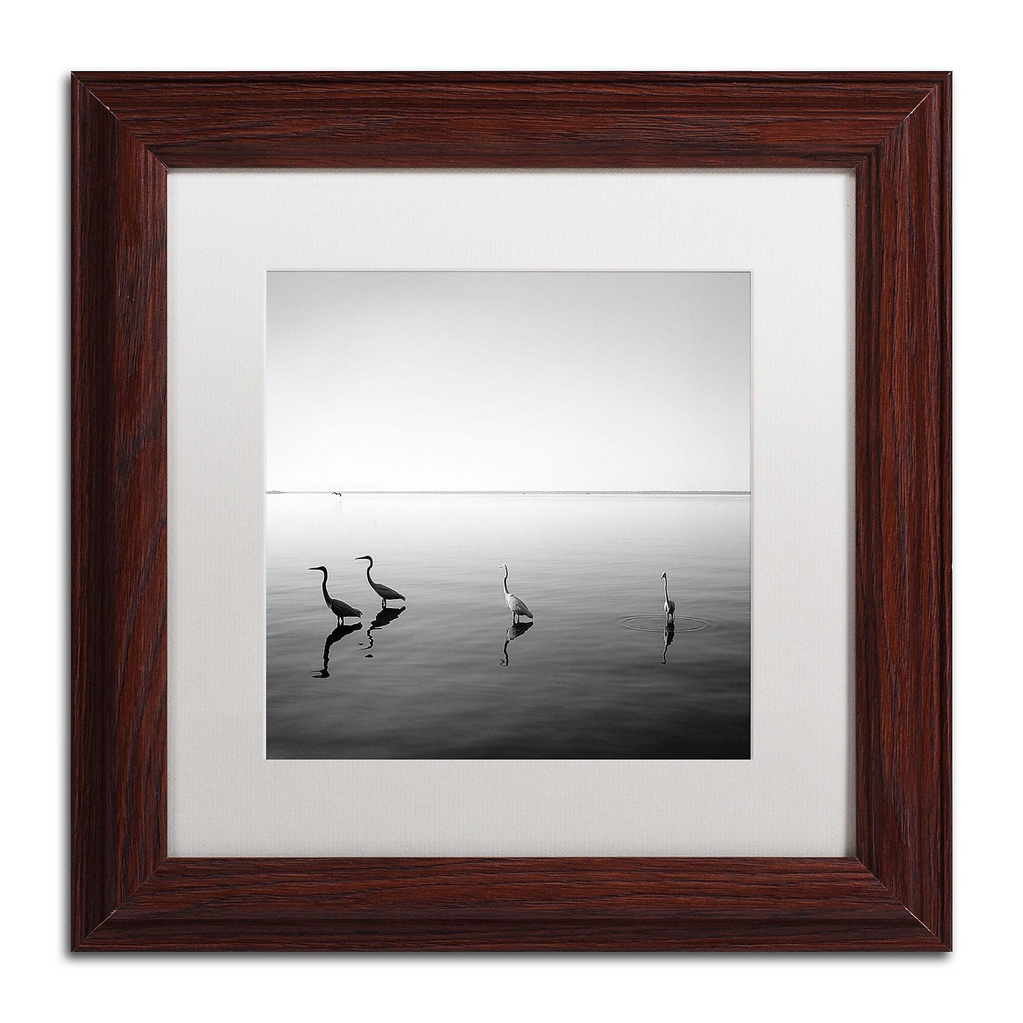 Trademark Fine Art ''4 Herons'' by Moises Levy 11" x 11" White Matted Wood Frame (ALI1089-W1111MF)
