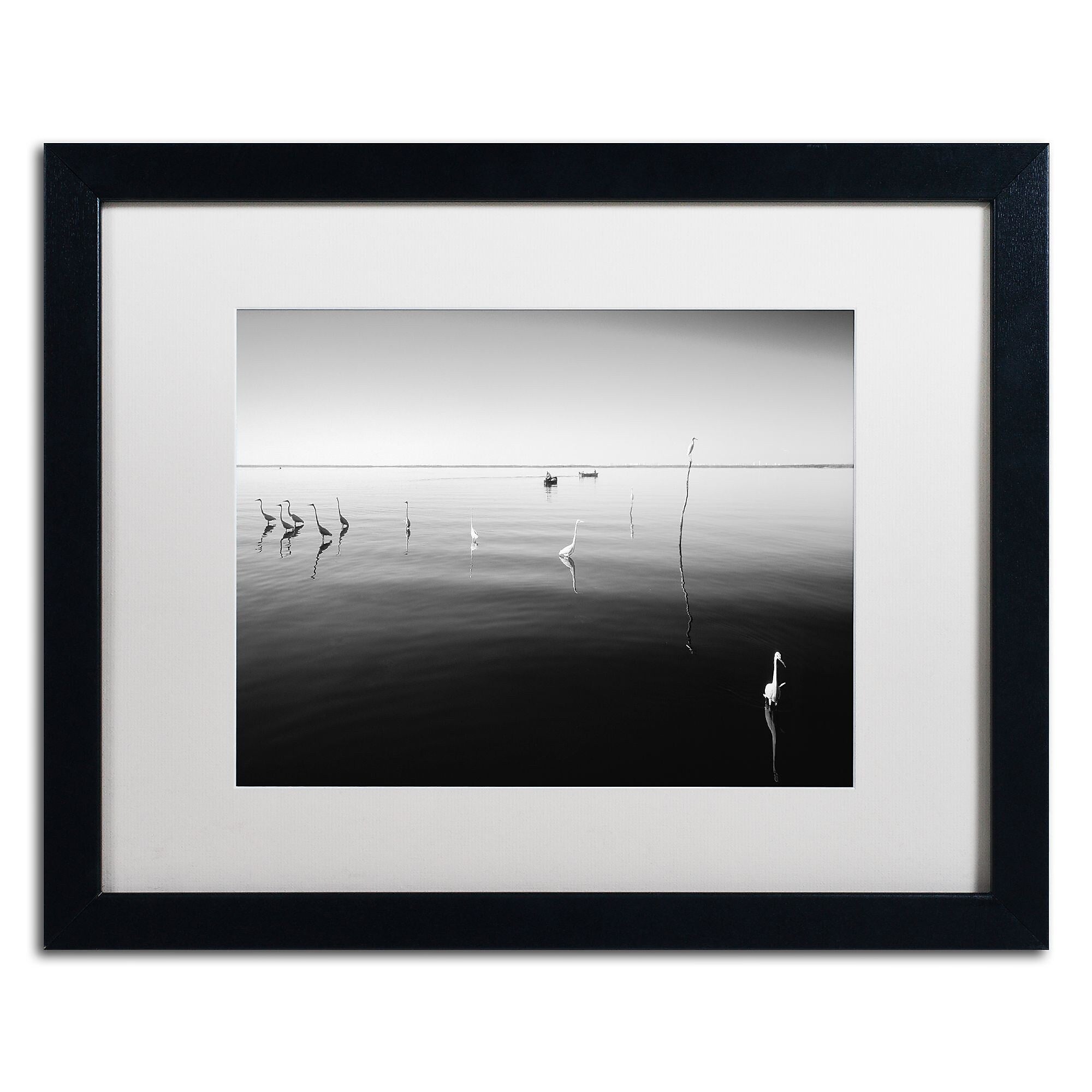 Trademark Fine Art ''11 Herons'' by Moises Levy 16" x 20" White Matted Black Frame (ALI1090-B1620MF)