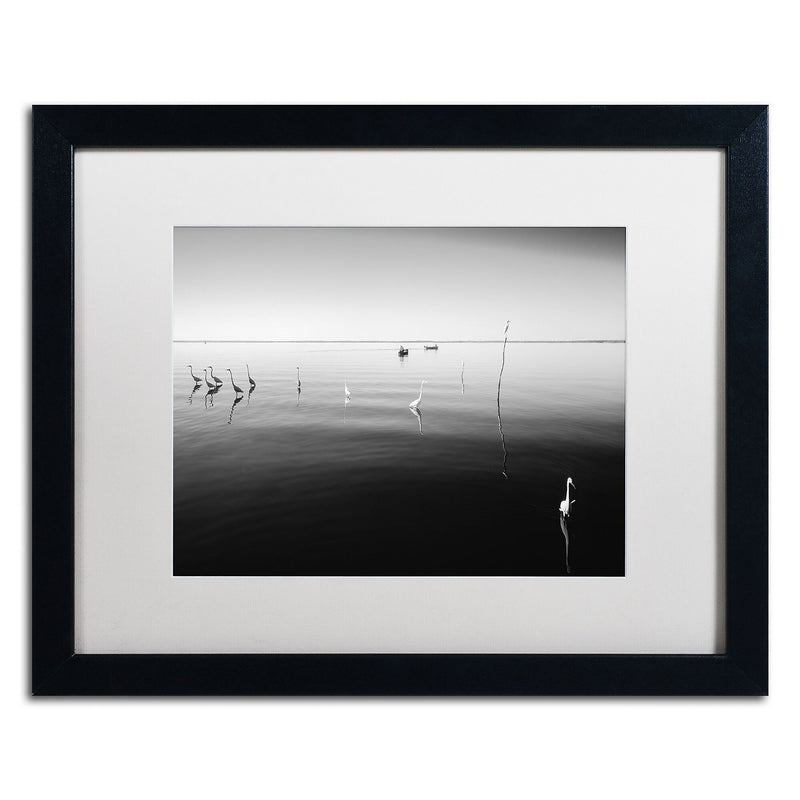 Trademark Fine Art ''11 Herons'' by Moises Levy 16" x 20" White Matted Black Frame (ALI1090-B1620MF)