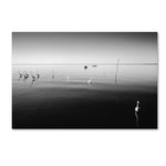 Trademark Fine Art ''11 Herons'' by Moises Levy 16" x 24" Canvas Art (ALI1090-C1624GG)