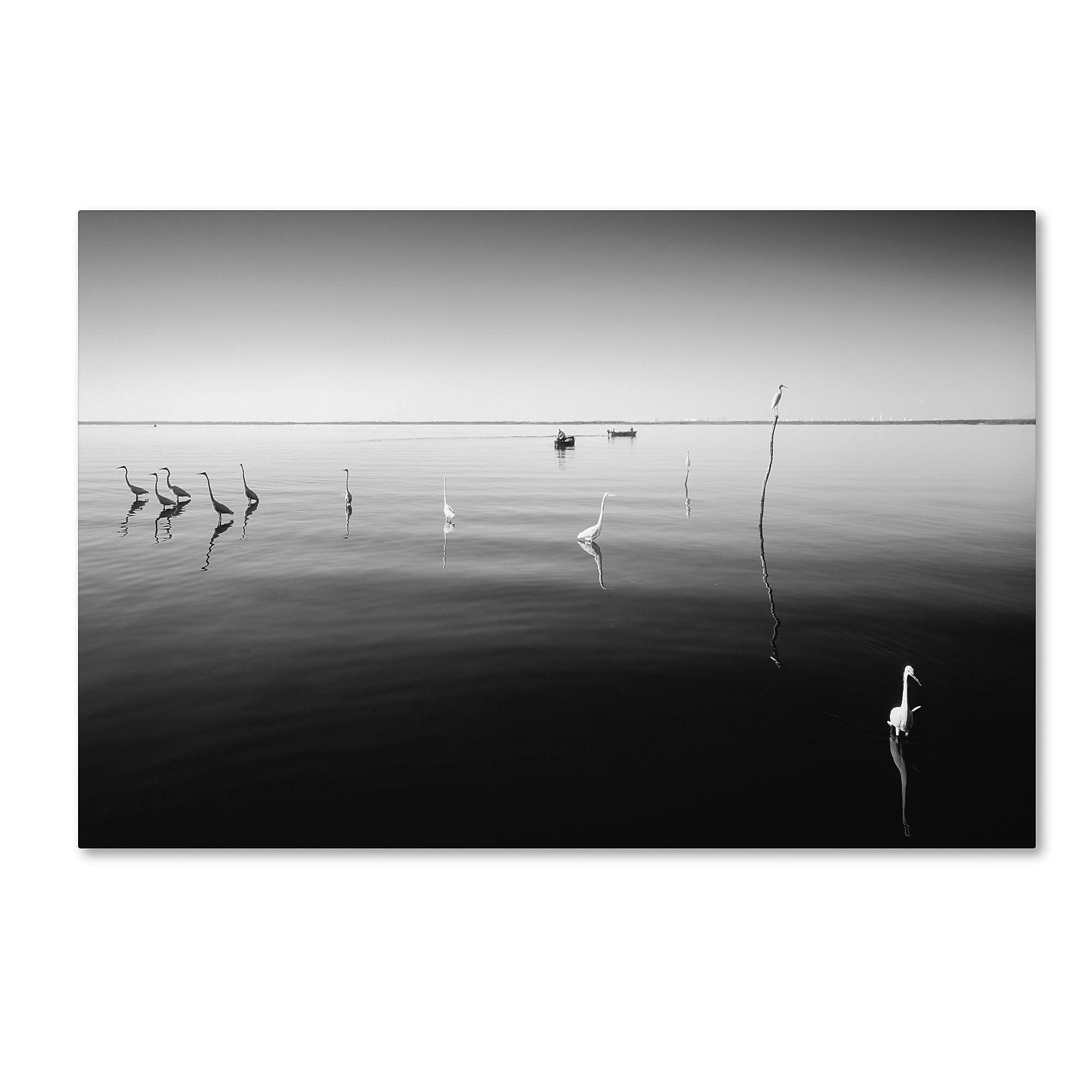 Trademark Fine Art ''11 Herons'' by Moises Levy 16" x 24" Canvas Art (ALI1090-C1624GG)