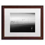 Trademark Fine Art ''11 Herons'' by Moises Levy 16" x 20" White Matted Wood Frame (ALI1090-W1620MF)