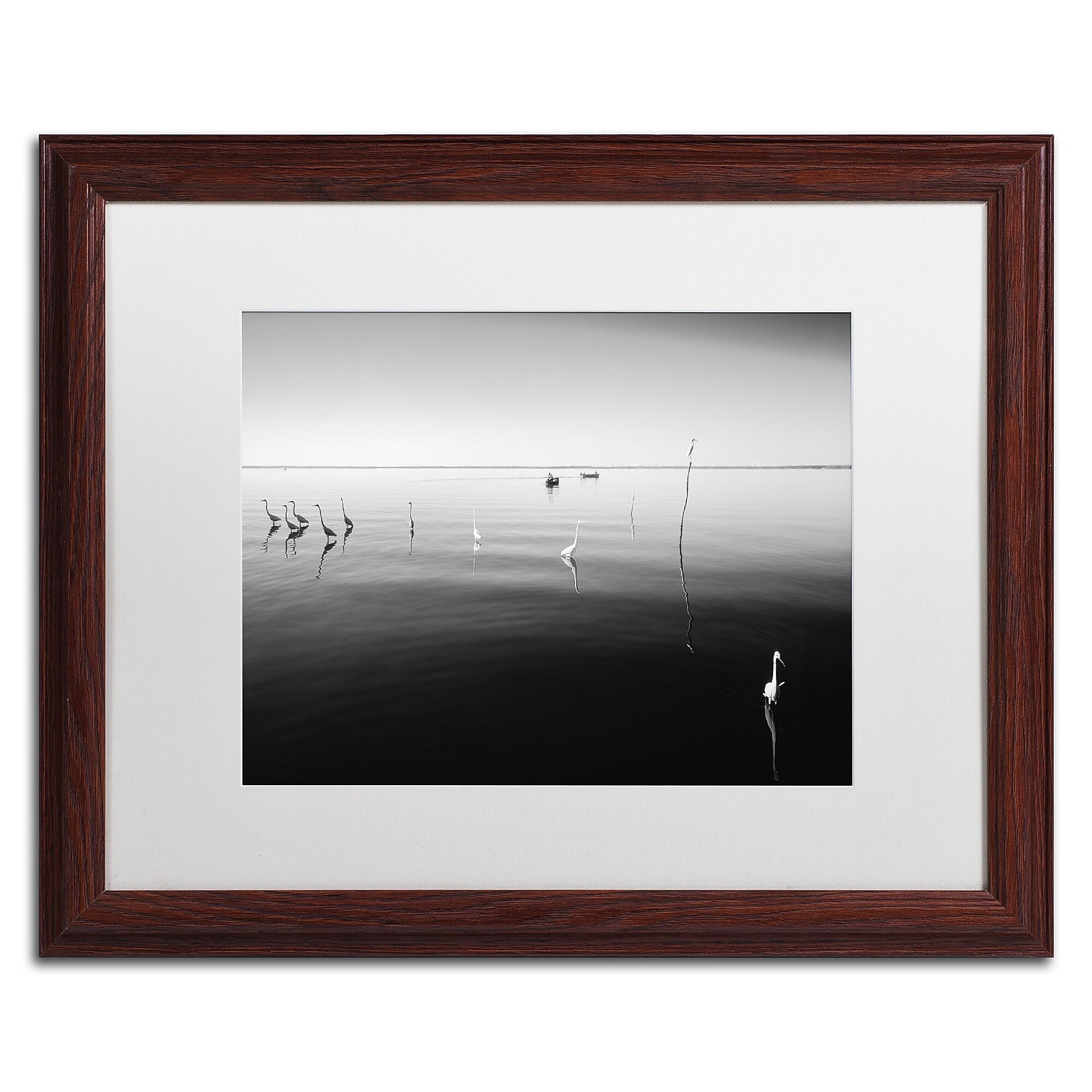 Trademark Fine Art ''11 Herons'' by Moises Levy 16" x 20" White Matted Wood Frame (ALI1090-W1620MF)