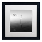 Trademark Fine Art ''Fly'' by Moises Levy 16" x 16" White Matted Black Frame (ALI1092-B1616MF)