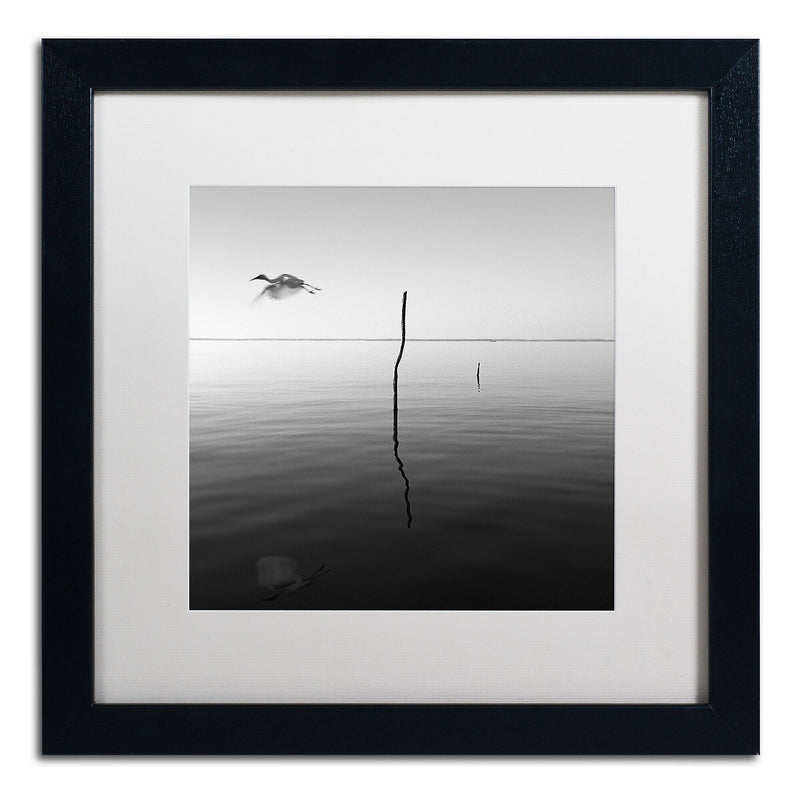 Trademark Fine Art ''Fly'' by Moises Levy 16" x 16" White Matted Black Frame (ALI1092-B1616MF)