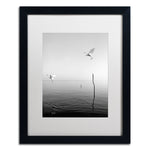 Trademark Fine Art ''Flying'' by Moises Levy 16" x 20" White Matted Black Frame (ALI1093-B1620MF)