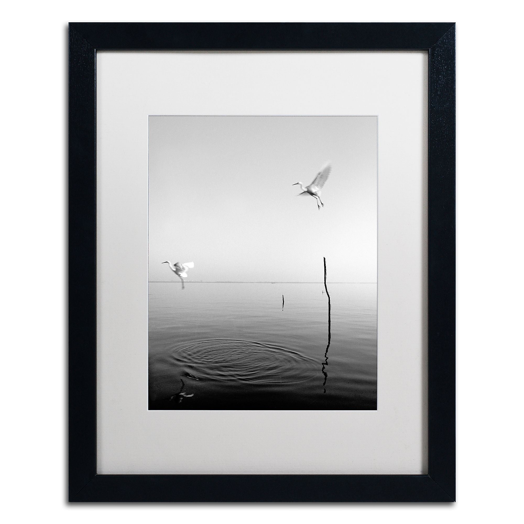 Trademark Fine Art ''Flying'' by Moises Levy 16" x 20" White Matted Black Frame (ALI1093-B1620MF)