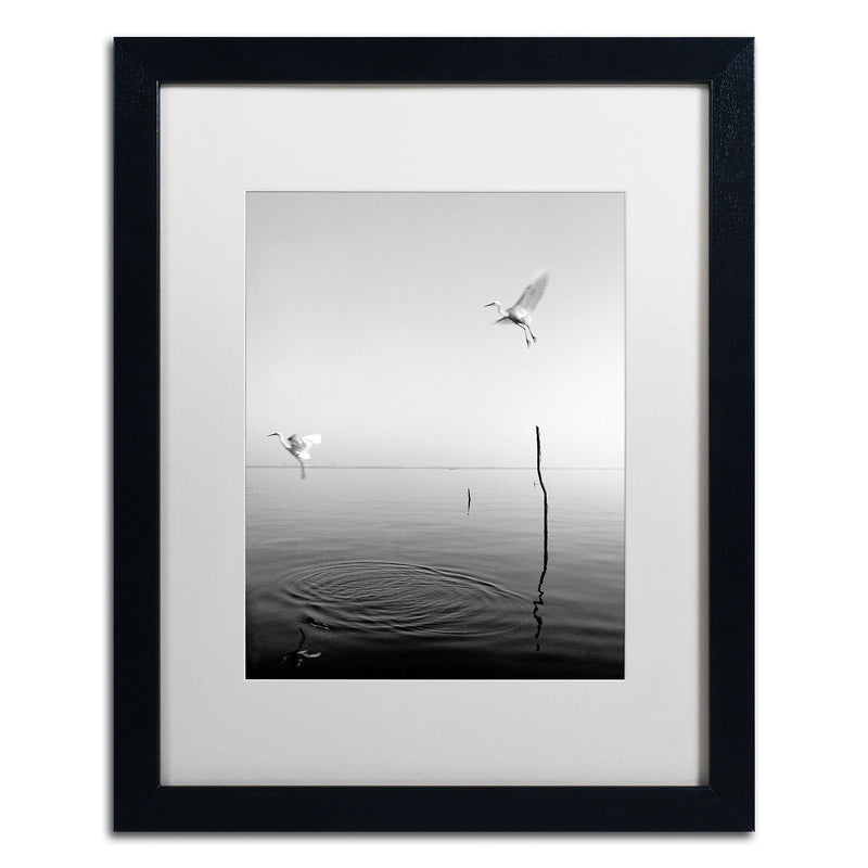 Trademark Fine Art ''Flying'' by Moises Levy 16" x 20" White Matted Black Frame (ALI1093-B1620MF)