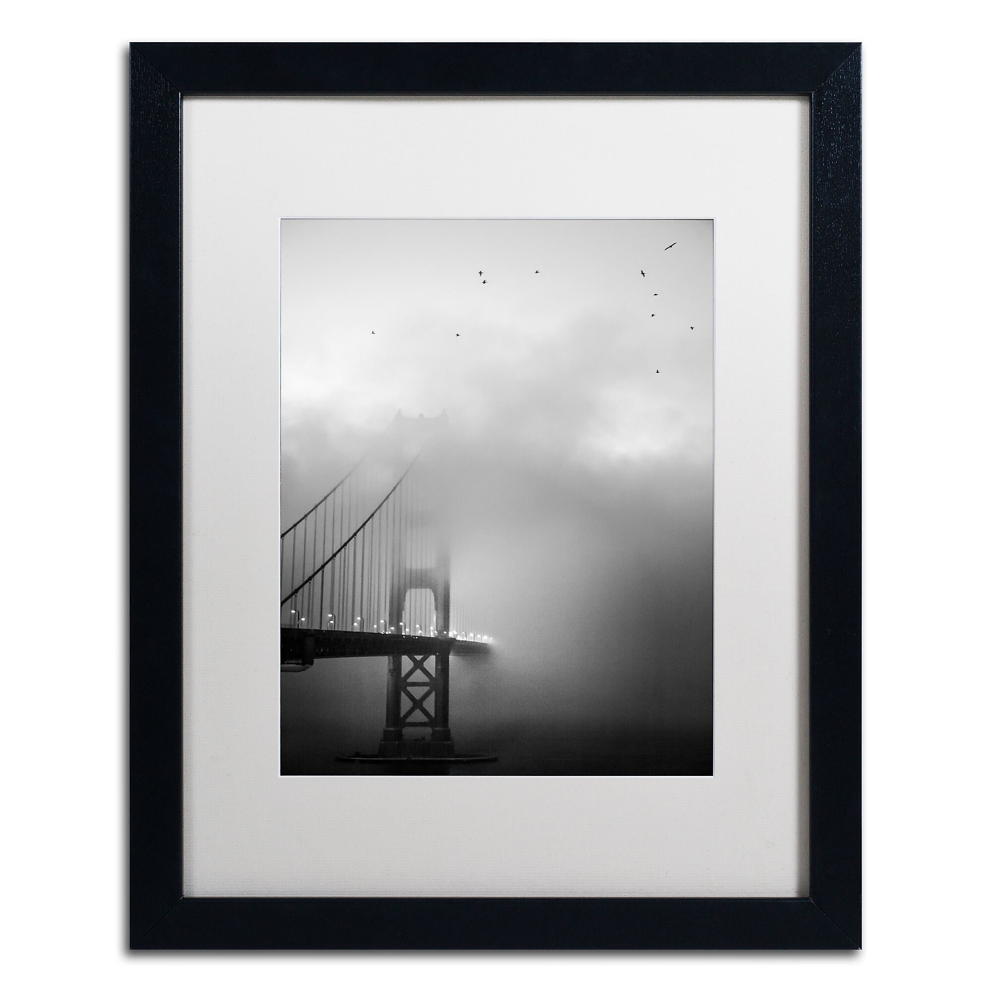 Trademark Fine Art ''Golden Gate and Birds'' by Moises Levy 16" x 20" White Matted Black Frame (ALI1095-B1620MF)