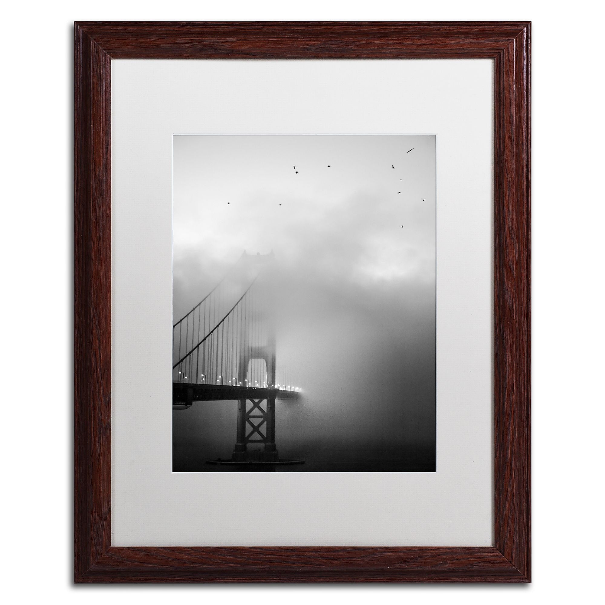 Trademark Fine Art ''Golden Gate and Birds'' by Moises Levy 16" x 20" White Matted Wood Frame (ALI1095-W1620MF)