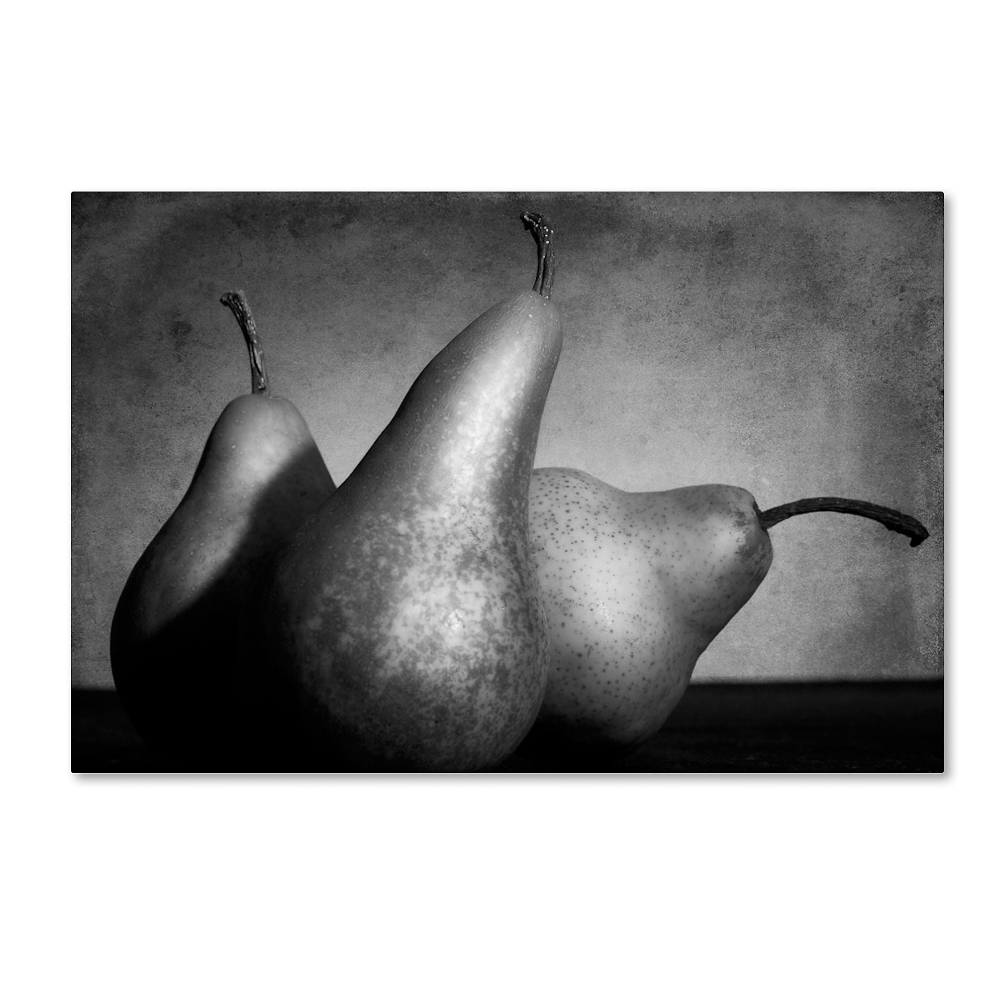 Trademark Fine Art ''Cayendo'' by Moises Levy 16" x 24" Canvas Art (ALI1101-C1624GG)