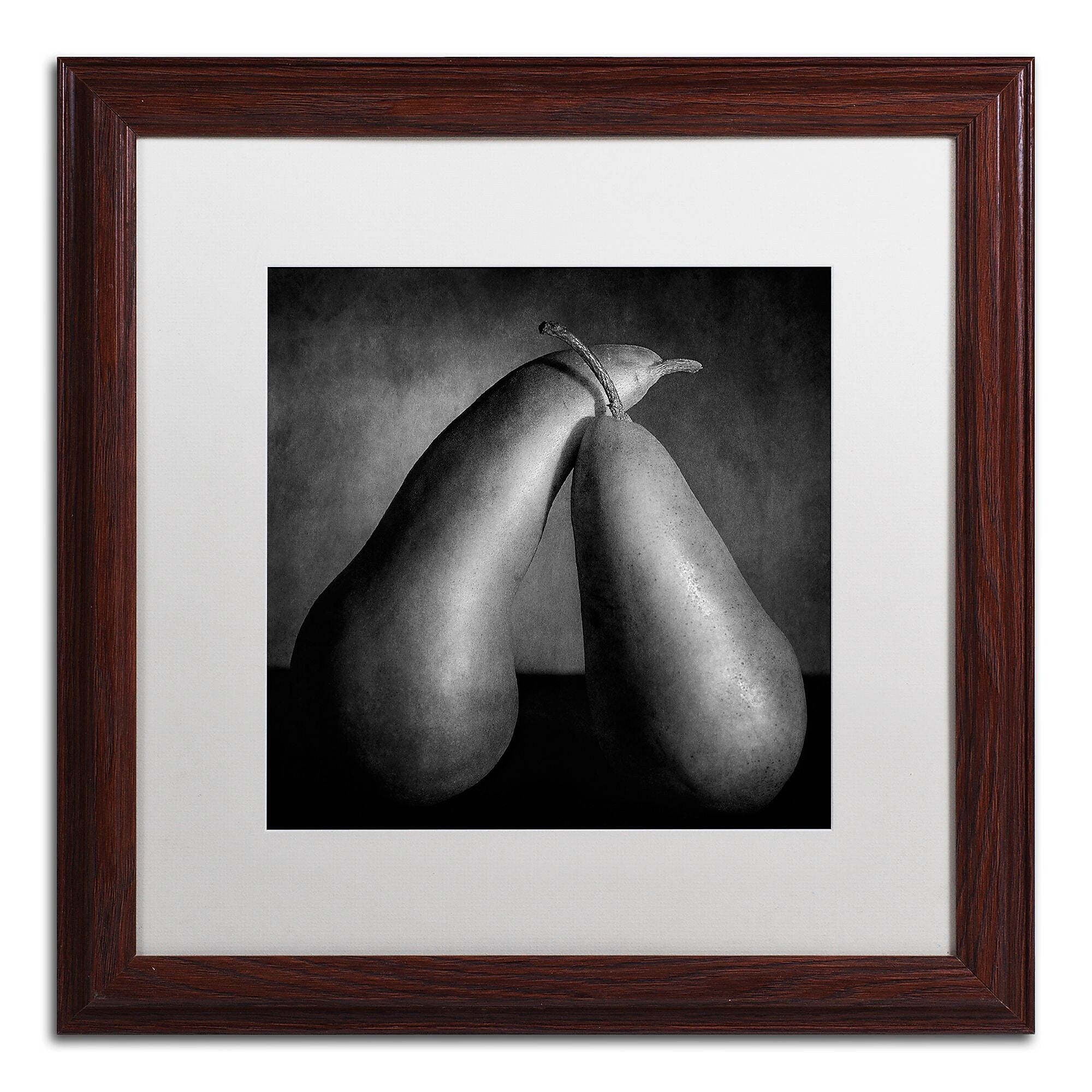 Trademark Fine Art ''Peras Tiernas'' by Moises Levy 16" x 16" White Matted Wood Frame (ALI1104-W1616MF)